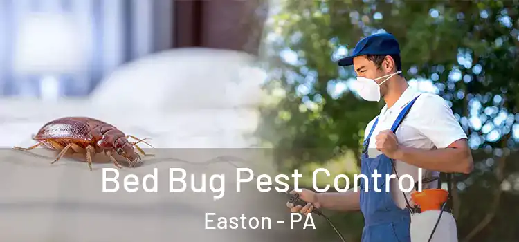  Bed Bug Pest Control Easton - PA
