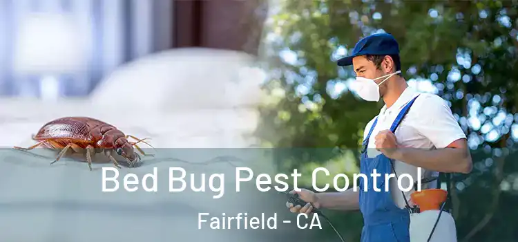  Bed Bug Pest Control Fairfield - CA