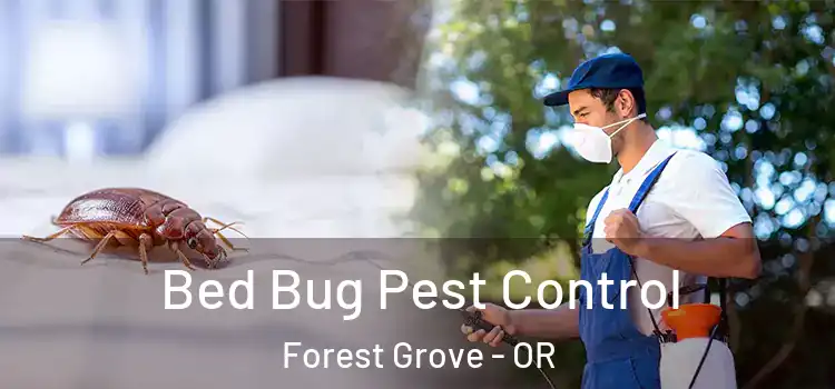 Bed Bug Pest Control Forest Grove - OR