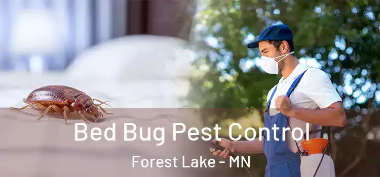  Bed Bug Pest Control Forest Lake - MN