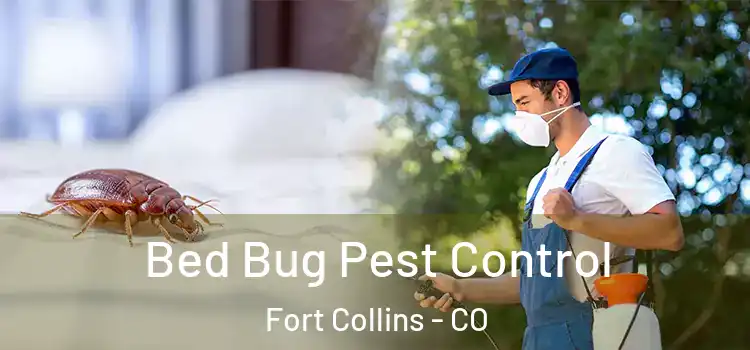 Bed Bug Pest Control Fort Collins - CO