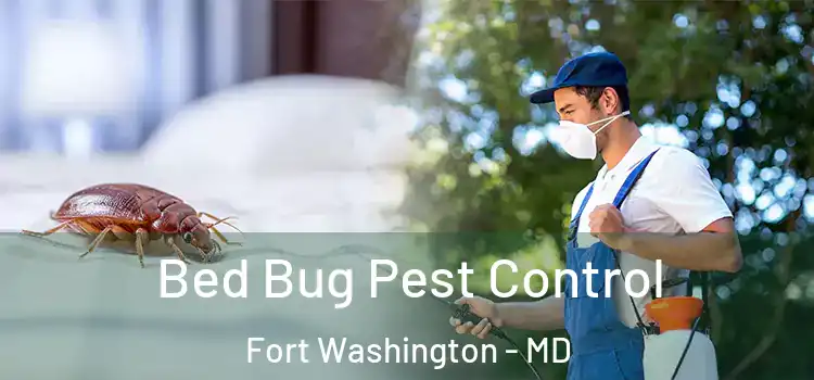  Bed Bug Pest Control Fort Washington - MD