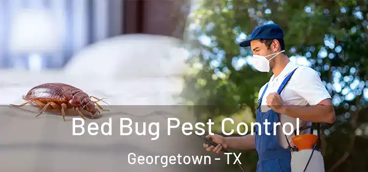 Bed Bug Pest Control Georgetown - TX