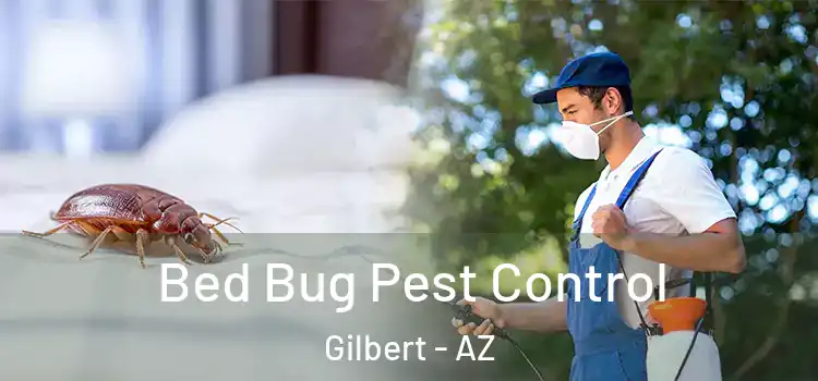  Bed Bug Pest Control Gilbert - AZ