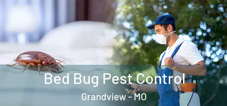  Bed Bug Pest Control Grandview - MO