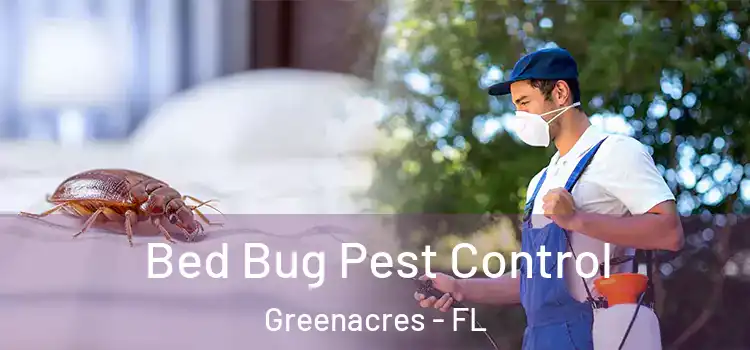  Bed Bug Pest Control Greenacres - FL