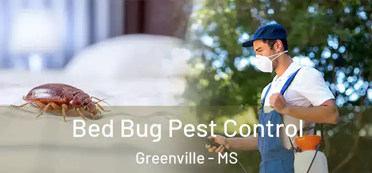  Bed Bug Pest Control Greenville - MS