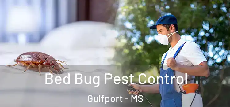  Bed Bug Pest Control Gulfport - MS