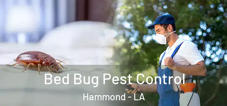 Bed Bug Pest Control Hammond - LA