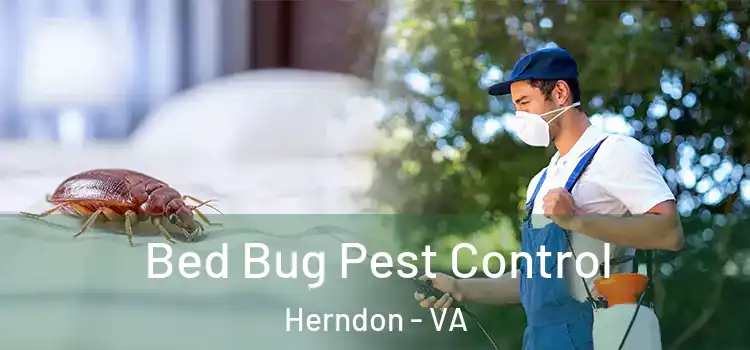 Bed Bug Pest Control Herndon - VA