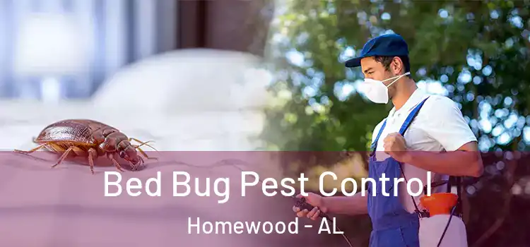  Bed Bug Pest Control Homewood - AL