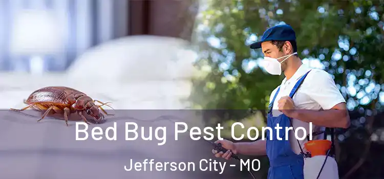  Bed Bug Pest Control Jefferson City - MO