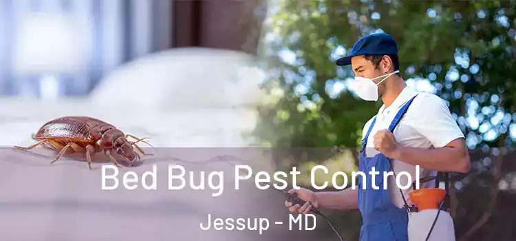  Bed Bug Pest Control Jessup - MD