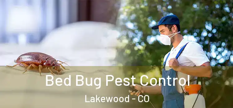  Bed Bug Pest Control Lakewood - CO