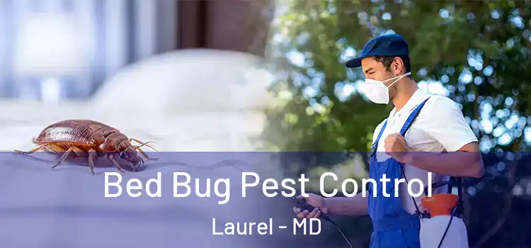  Bed Bug Pest Control Laurel - MD
