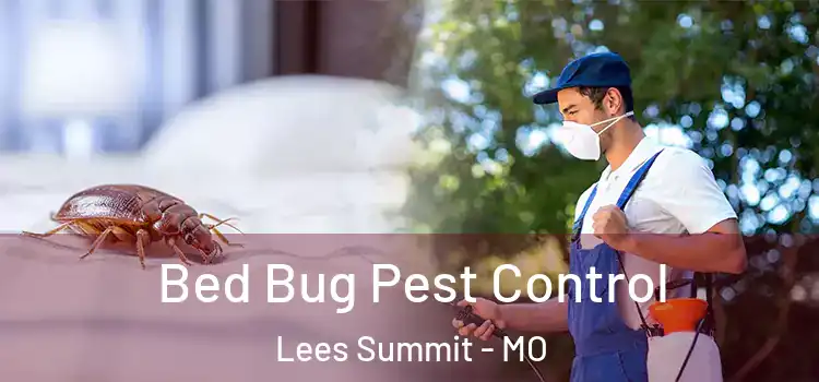  Bed Bug Pest Control Lees Summit - MO