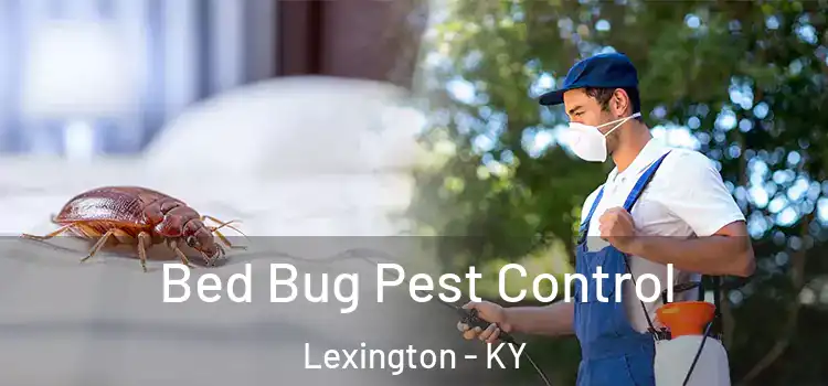  Bed Bug Pest Control Lexington - KY