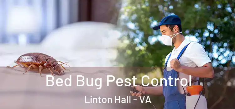  Bed Bug Pest Control Linton Hall - VA