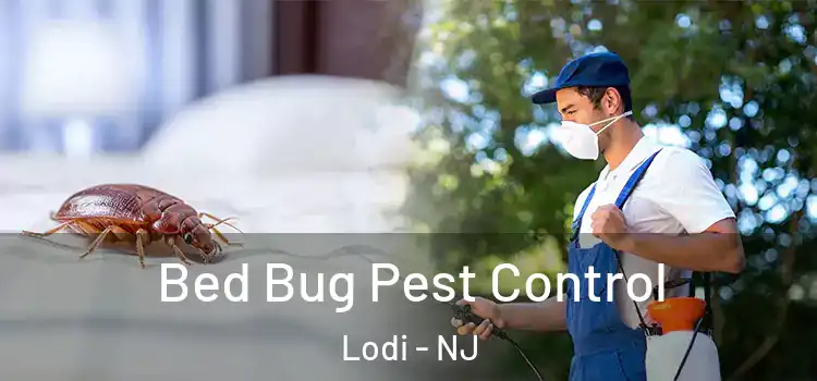 Bed Bug Pest Control Lodi - NJ