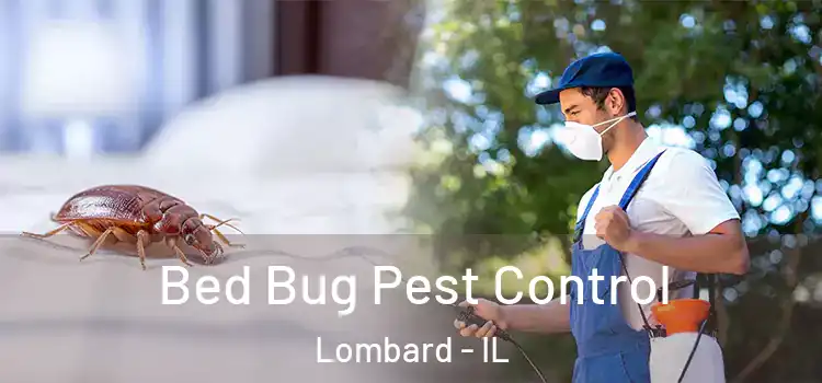Bed Bug Pest Control Lombard - IL
