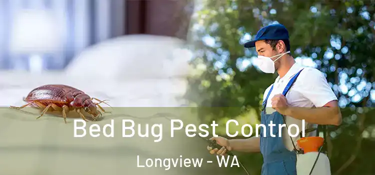  Bed Bug Pest Control Longview - WA