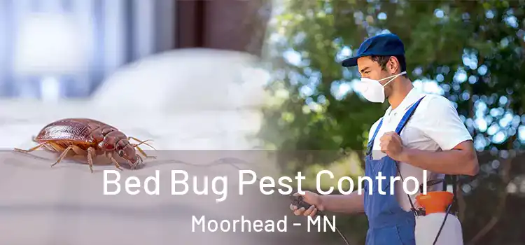  Bed Bug Pest Control Moorhead - MN