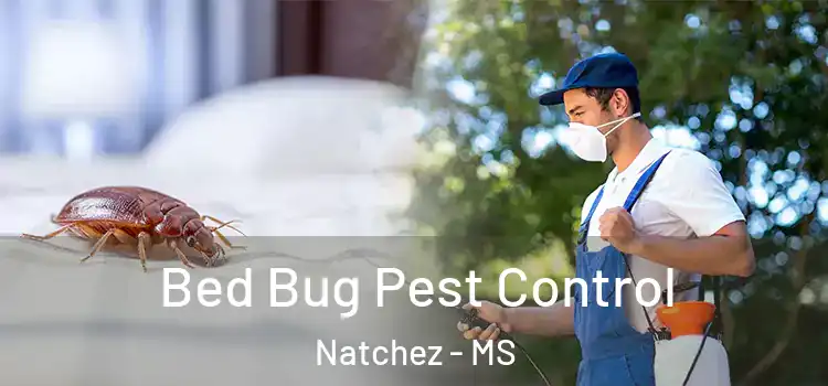  Bed Bug Pest Control Natchez - MS