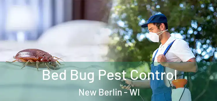 Bed Bug Pest Control New Berlin - WI