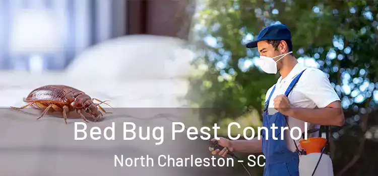 Bed Bug Pest Control North Charleston - SC