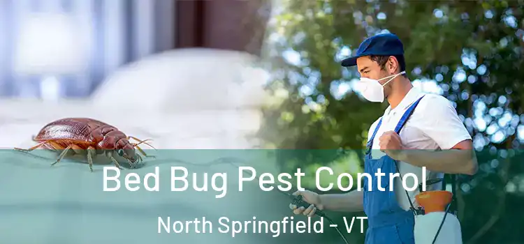  Bed Bug Pest Control North Springfield - VT