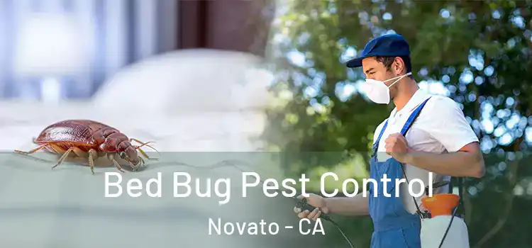  Bed Bug Pest Control Novato - CA