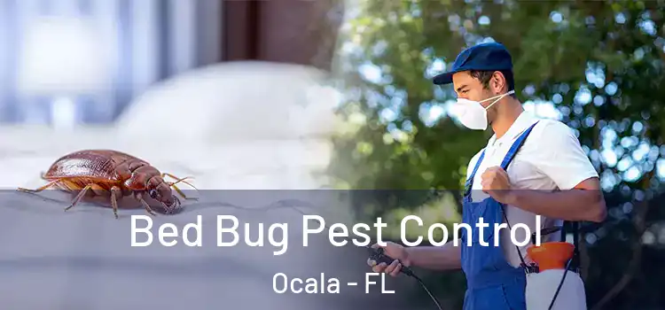 Bed Bug Pest Control Ocala - FL