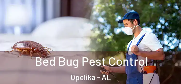 Bed Bug Pest Control Opelika - AL