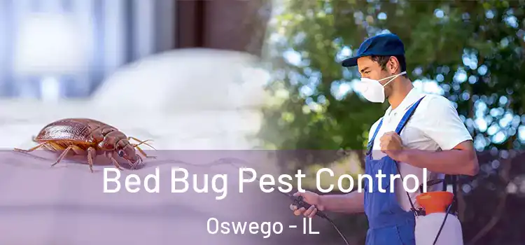  Bed Bug Pest Control Oswego - IL