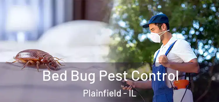  Bed Bug Pest Control Plainfield - IL