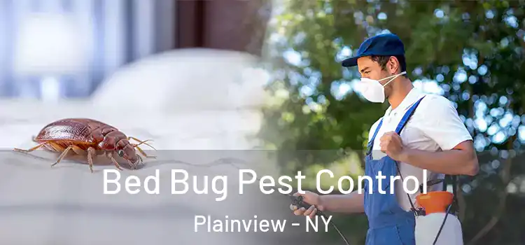  Bed Bug Pest Control Plainview - NY