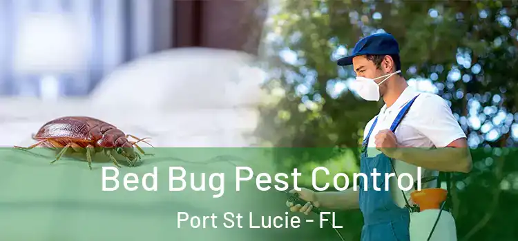  Bed Bug Pest Control Port St Lucie - FL