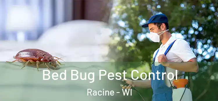  Bed Bug Pest Control Racine - WI
