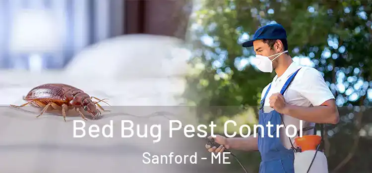  Bed Bug Pest Control Sanford - ME