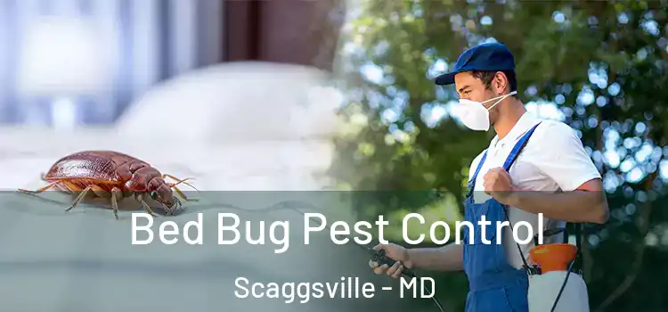  Bed Bug Pest Control Scaggsville - MD