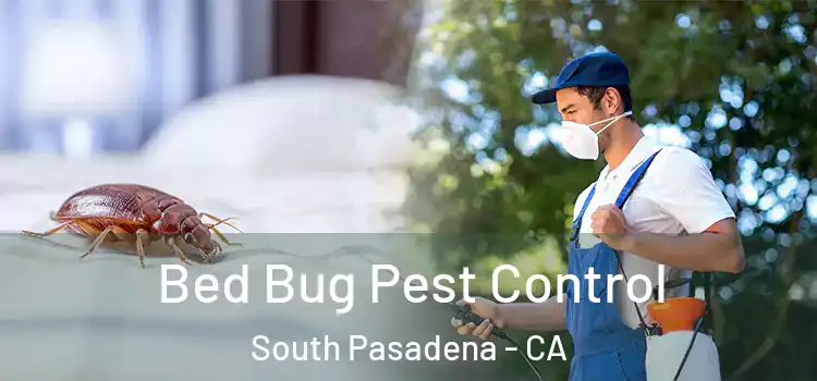  Bed Bug Pest Control South Pasadena - CA