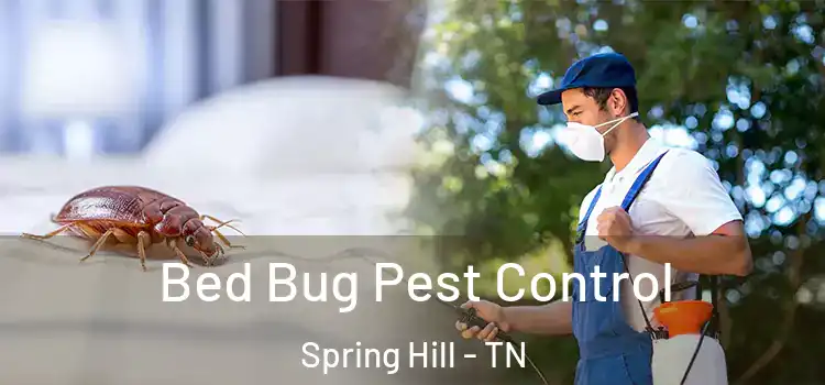 Bed Bug Pest Control Spring Hill - TN