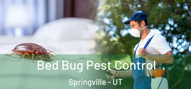  Bed Bug Pest Control Springville - UT