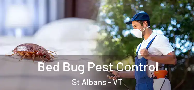 Bed Bug Pest Control St Albans - VT