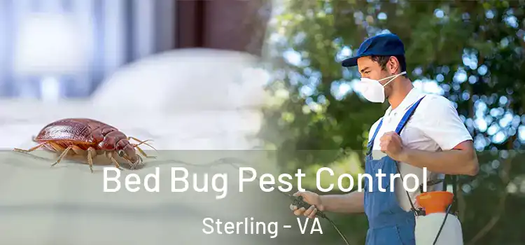 Bed Bug Pest Control Sterling - VA