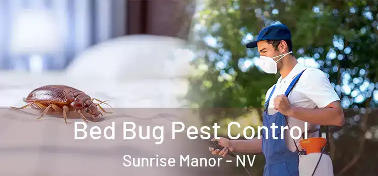 Bed Bug Pest Control Sunrise Manor - NV