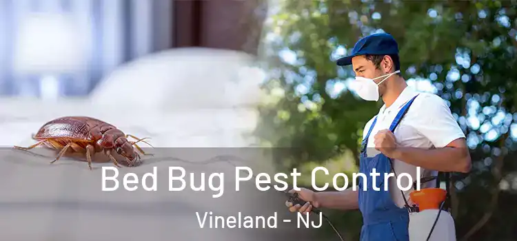 Bed Bug Pest Control Vineland - NJ