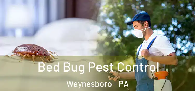  Bed Bug Pest Control Waynesboro - PA