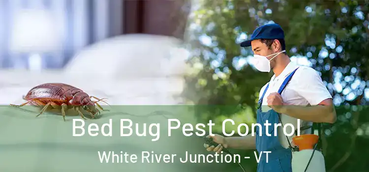  Bed Bug Pest Control White River Junction - VT