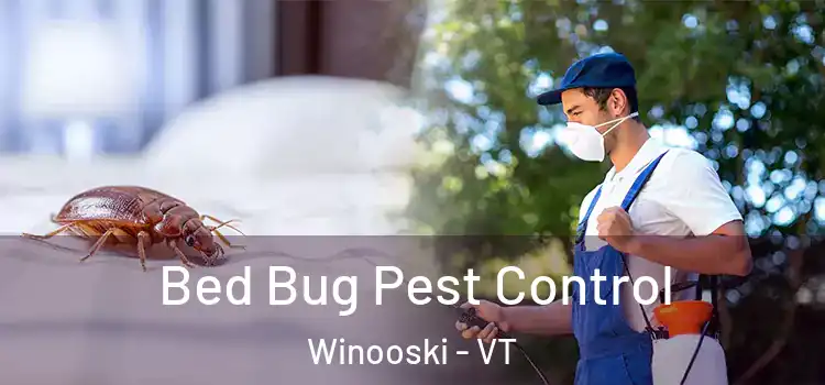 Bed Bug Pest Control Winooski - VT